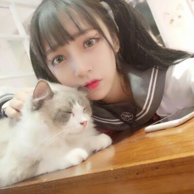 忍者必须3360账号录版下载